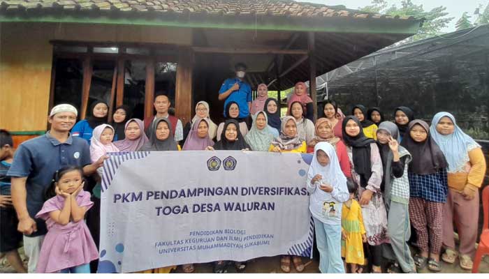 Prodi Pendidikan Biologi FKIP UMMI PKM Melaksanakan Pendampingan  Diversifikasi TOGA di Desa Waluran